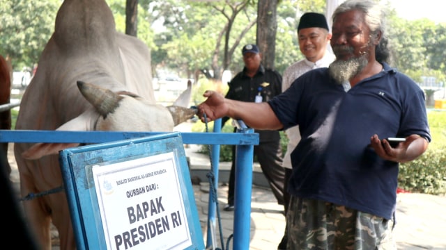 Sawiyan, Jual Sapi Jawaranya ke Presiden Jokowi, Selasa (21/8/2018). (Foto: Phaksy Sukowati/kumparan)