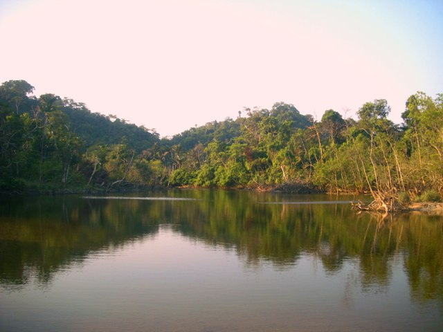 Alam di Nusakambangan Masih Sangat Terjaga (Foto: Flickr/Batulayar)