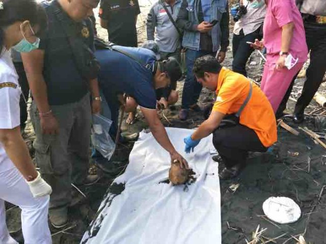 Waduh, Ada Kerangka Manusia Ditemukan di Hutan TNBB