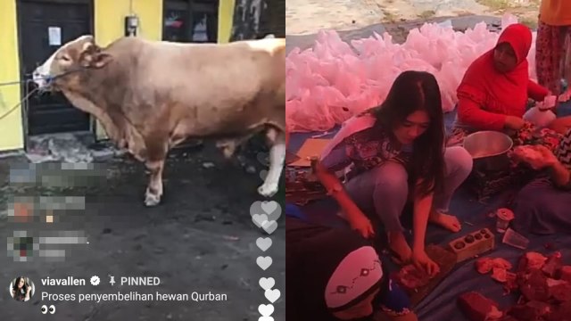 Sejumlah artis yang berkurban di tahun 2018 (Foto: Instagram @viavallen)