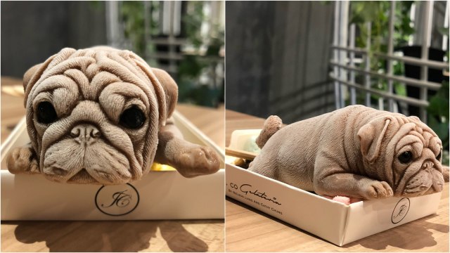 Es krim berbentuk anjing di Taiwan. (Foto: Instagram/@chen.min.lee)
