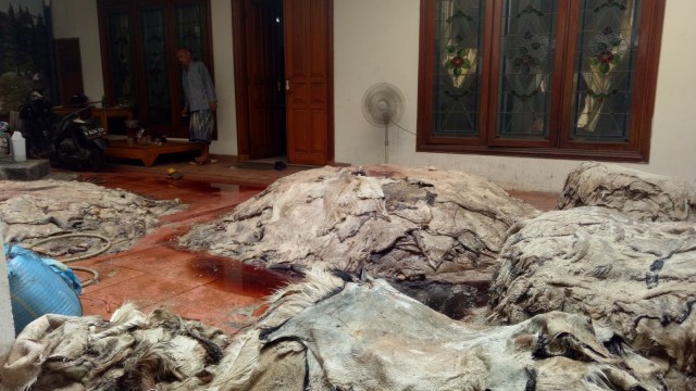 Tumpukkan kulit kambing dan sapi kurban milik Bobby Sungkar. (Foto: Maulana Ramadhan/kumparan)