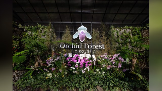 Orchid Forest Cikole di Lembang, Bandung (Foto: Helinsa Rasputri/kumparan)