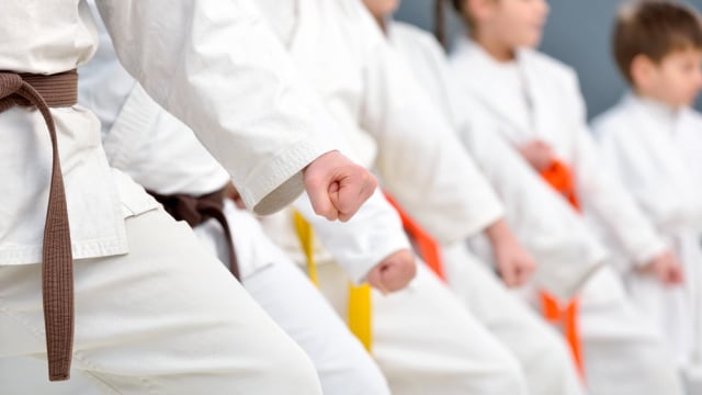 Ilustrasi Karate Foto: Shutterstock