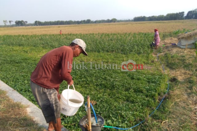 Minim Embung, Petani Maksimalkan Air Irigasi