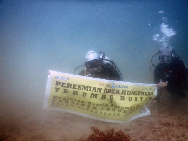 Upaya Pupuk Kaltim Dalam Menjaga Kelestarian Ekosistem dan Biota Laut (1)