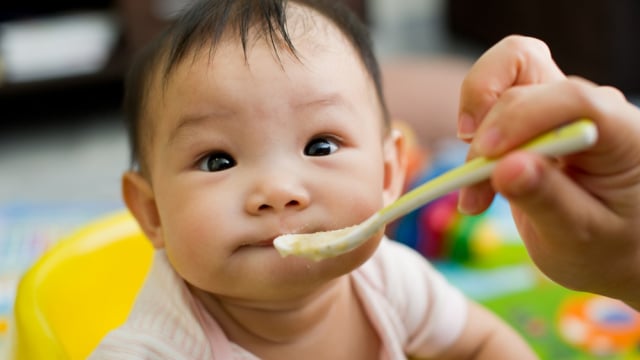Ilustrasi MPASI Foto: Shutterstock