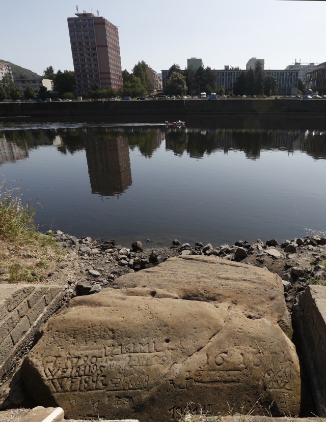 Batu kelaparan di Eropa (Foto: AP Photo/Petr David Josek)