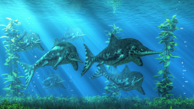 Ilustrasi Ichthyosaurus. (Foto: Shutter stock)