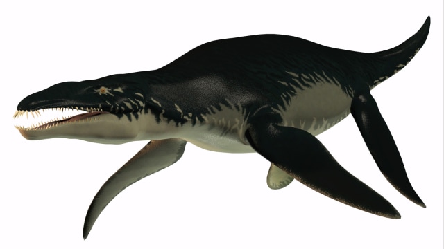 Ilustrasi pliosaurus (Foto: Shutter stock)