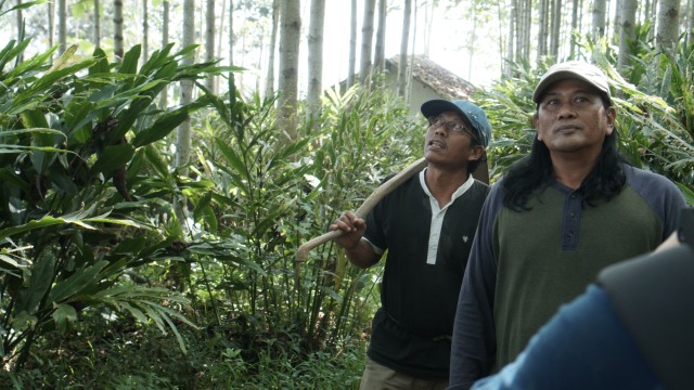 Ken Ken 'Wiro Sableng' (Foto: Caroline Pramantie/kumparan)