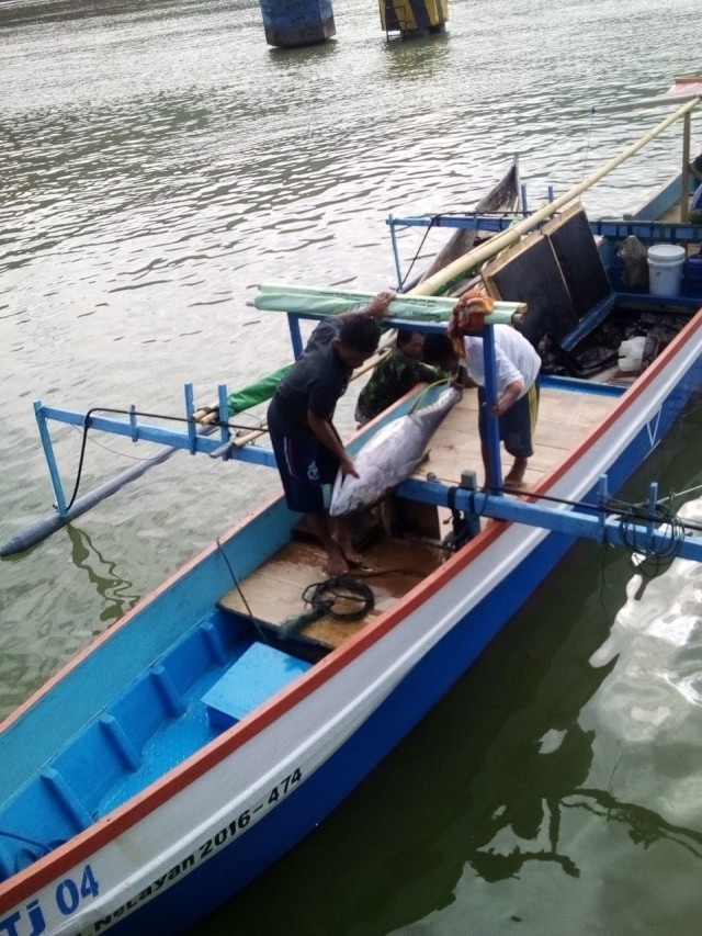 Merajut Asa Mengharap Sejahtera dari KM. Nelayan