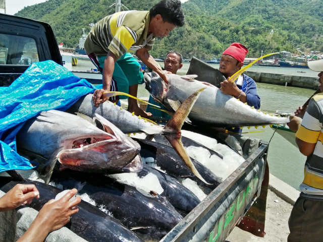 Merajut Asa Mengharap Sejahtera dari KM. Nelayan (1)