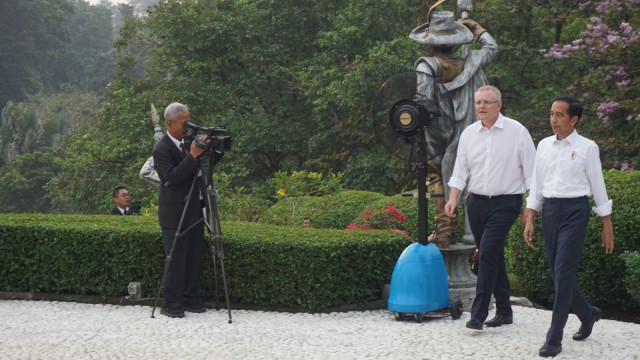 Presiden Jokowi dan Scott Morrison Perdana Menteri Australia berkeliling di Kebun Raya Bogor, Jumat (31/8/18). (Foto: Yudhistira Amran Saleh/kumparan)