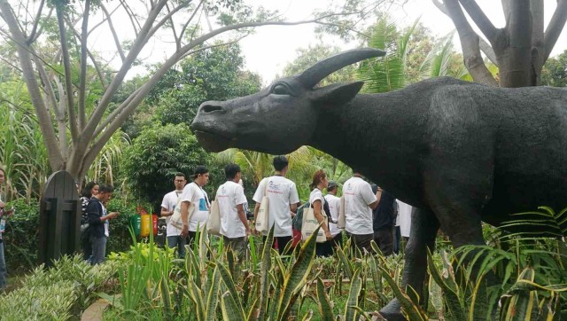Peserta komit up kumparan berkunjung ke Allianz Ecopark, Ancol, Jakarta, Minggu (2/9/2018). (Foto: Irfan Adi Saputra/kumparan)