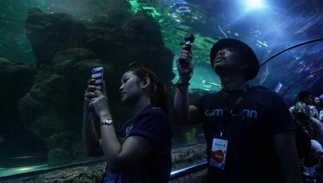 Para peserta komit up kumparan berkunjung ke Sea World Akuarium, Ancol, Minggu (2/9/18). (Foto: Irfan Adi Saputra/kumparan)