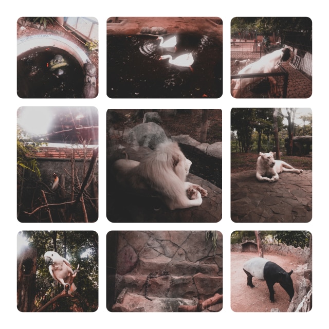 Keseruan acara Kumparan KomitUp KembalikeAncol (4)