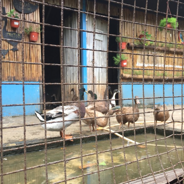 Ancol : Sisi Lain dan Merasakan Pengalaman Yang Berbeda (3)