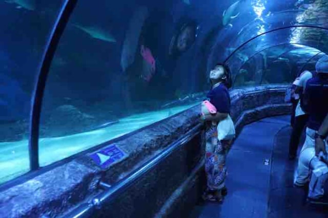 Kembali ke Ancol dan pertama kali ke Dufan! Ini 5 tempat yang harus di datangi di ancol (2)