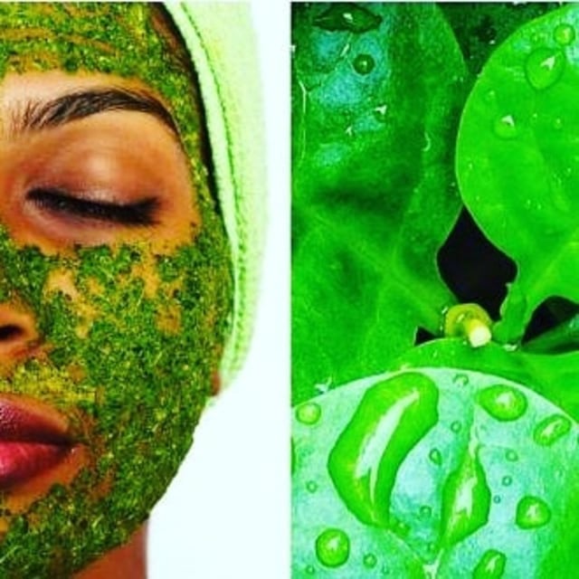 Manfaat Daun Binahong untuk Jerawat Membandel (1)