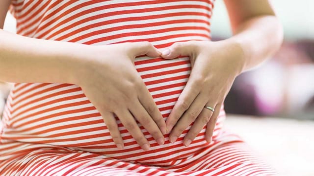 Perkembangan Janin Dalam Usia Kehamilan 6 Bulan