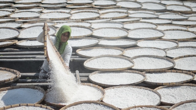 Pekerja menjemur tepung tapioka di Desa Citali, Kabupaten Sumedang, Jawa Barat, Kamis (6/9). Foto: ANTARA FOTO/Raisan Al Farisi