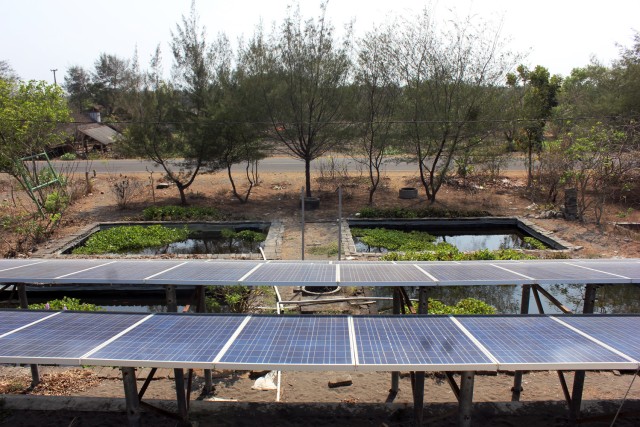 Menimbang Aspek Pendanaan dalam Transisi Energi (3)