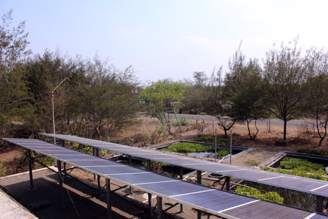 Menimbang Aspek Pendanaan dalam Transisi Energi (4)