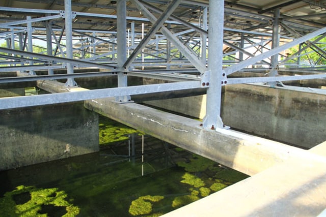 Menimbang Aspek Pendanaan dalam Transisi Energi (5)