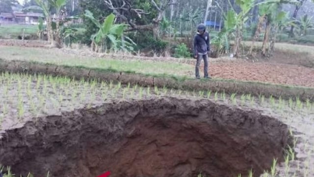 Lubang misterius di tengah sawah Sukabumi. (Foto: Dok. ANTARA FOTO)