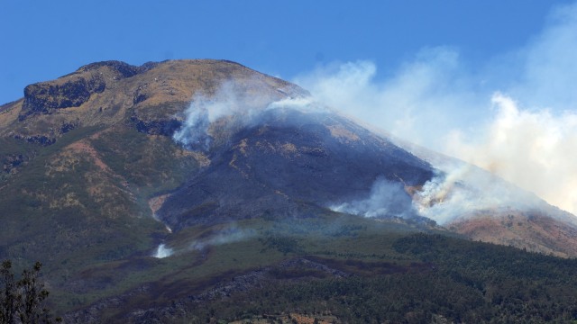 Asap mengepul dari kebakaran hutan gunung Sindoro difoto dari Desa Sigedang, Kejajar, Wonosobo, Tengah, Sabtu (8/9).  Foto: ANTARA FOTO/Anis Efizudin