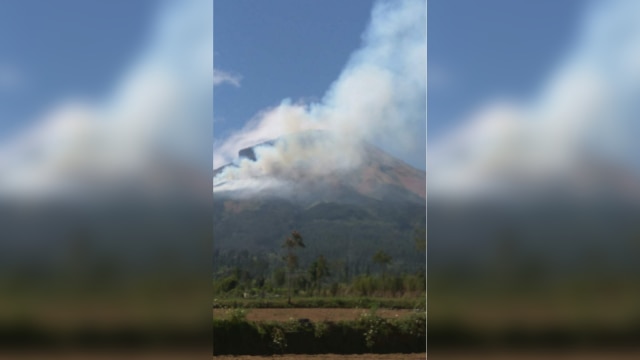 Jalur pendakian gunung sindoro ditutup. (Foto: dok BNPB)