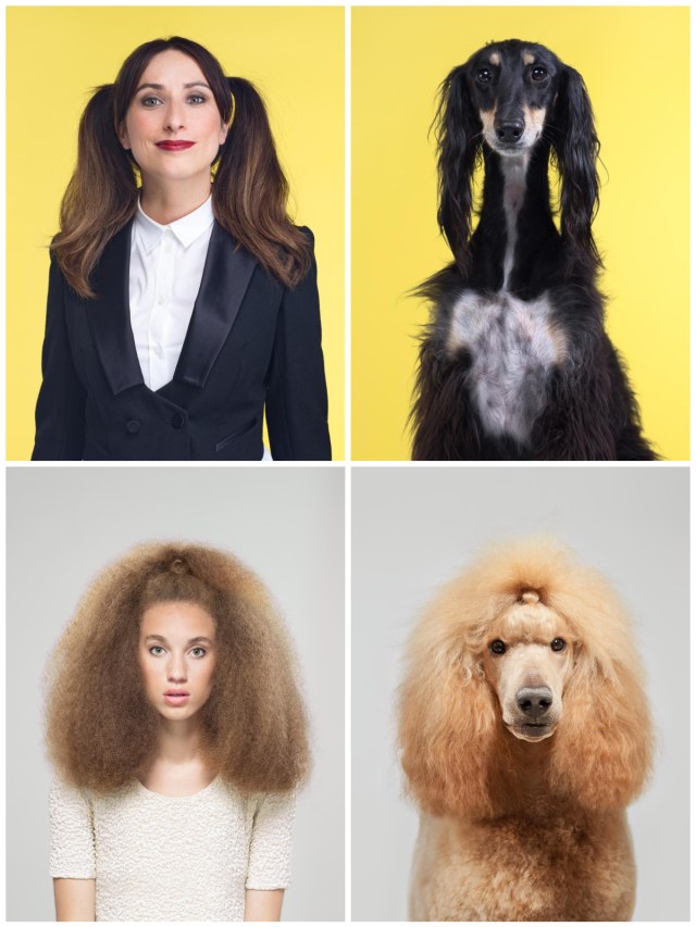 Unik, 50 Foto Kemiripan Seekor Anjing dengan Majikannya (2)