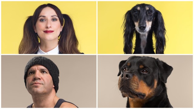 Unik, 50 Foto Kemiripan Seekor Anjing dengan Majikannya