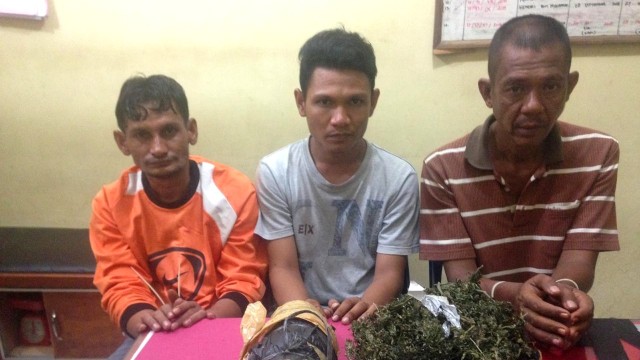Tiga napi di Aceh kedapatan simpan 2 bal ganja di dalam sel. (Foto: Dok. Satnarkoba Pidie )