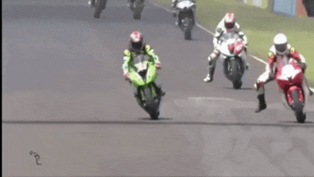 Sangat agresif. (Foto: Youtube/GPMania Indonesia)