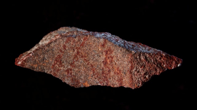 Rupa gambar tertua di dunia dari Afrika Selatan. (Foto:  Craig Foster/Handout via REUTERS )