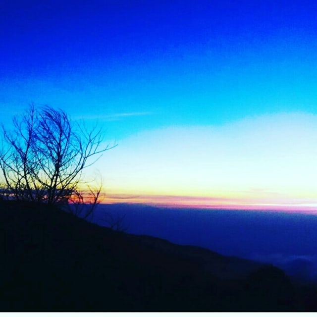 Tak Ada yang Salah dengan Rindu Bukan? 