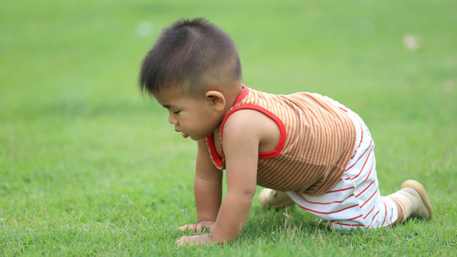 Bayi merangkak di rumput. (Foto: Shutterstock)