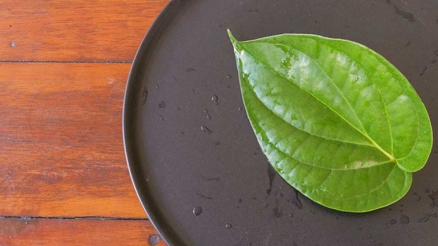 Cara Mengobati Sifilis pada Pria dengan Bahan Alami