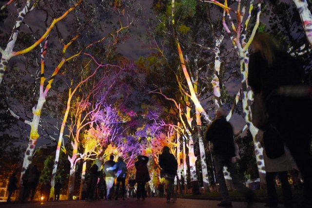 Perth Festival 2019 (Foto: Dok. Tourism Western Australia)