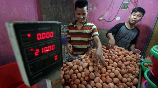 Ilustrasi telur ayam. (Foto: ANTARA FOTO/Yulius Satria Wijaya)