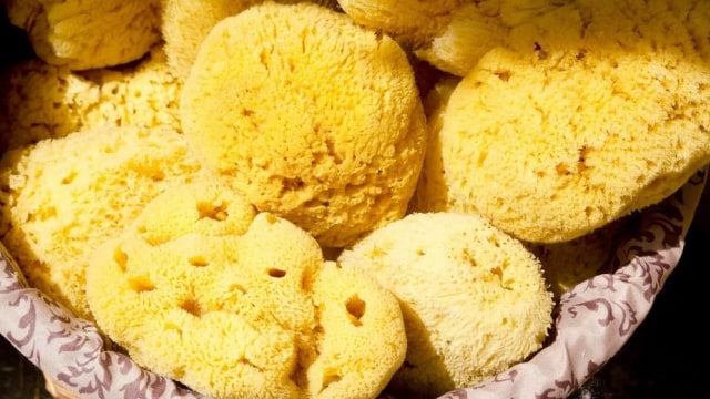 Ini 5 Jenis Sponge Bersih-Bersih yang Sobat Shopee Wajib Tahu (4)