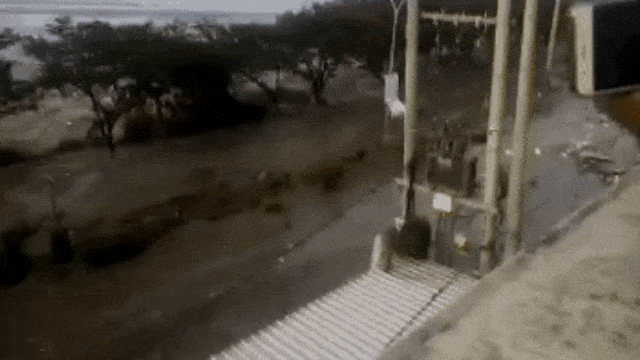 Tsunami Palu (Foto: Istimewa)