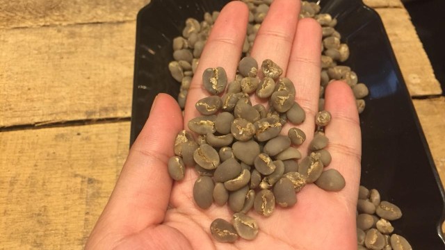 Petani Kopi Lintong Nihuta Sumatera Utara di Mandiri Jakarta Coffe Week 2018, di PIK Boulevard, Jakarta Utara, Jumat (28/9). (Foto: Nurul Nur Azizah/kumparan)