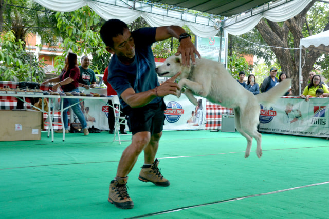 Dog Lovers di Denpasar Dapat Pelatihan Soal Rabies