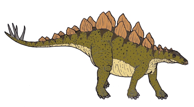 Stegosaurus Tidak Hidup Dalam Waktu yang Sama dengan T-Rex