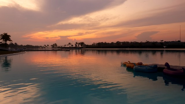 Hasil kamera Galaxy Note 9. (Foto: Muhammad Fikrie/kumparan)