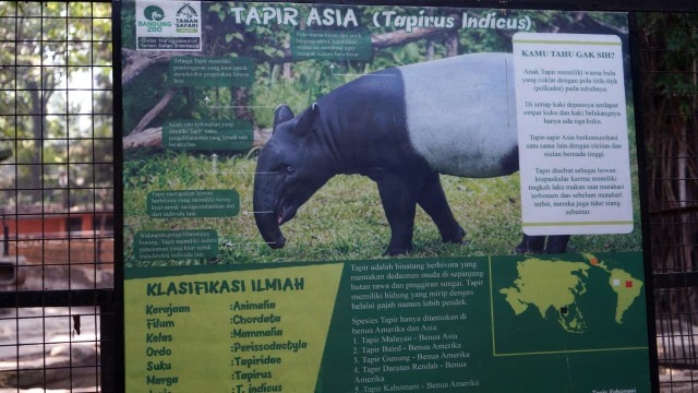 Kisah Darman Sang Penyayang Hewan