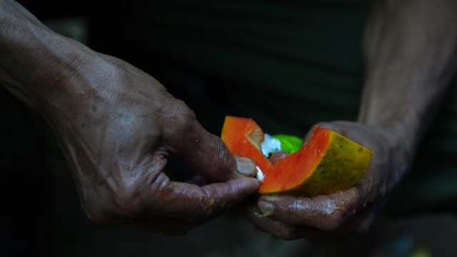 Kisah Darman Sang Penyayang Hewan (2)